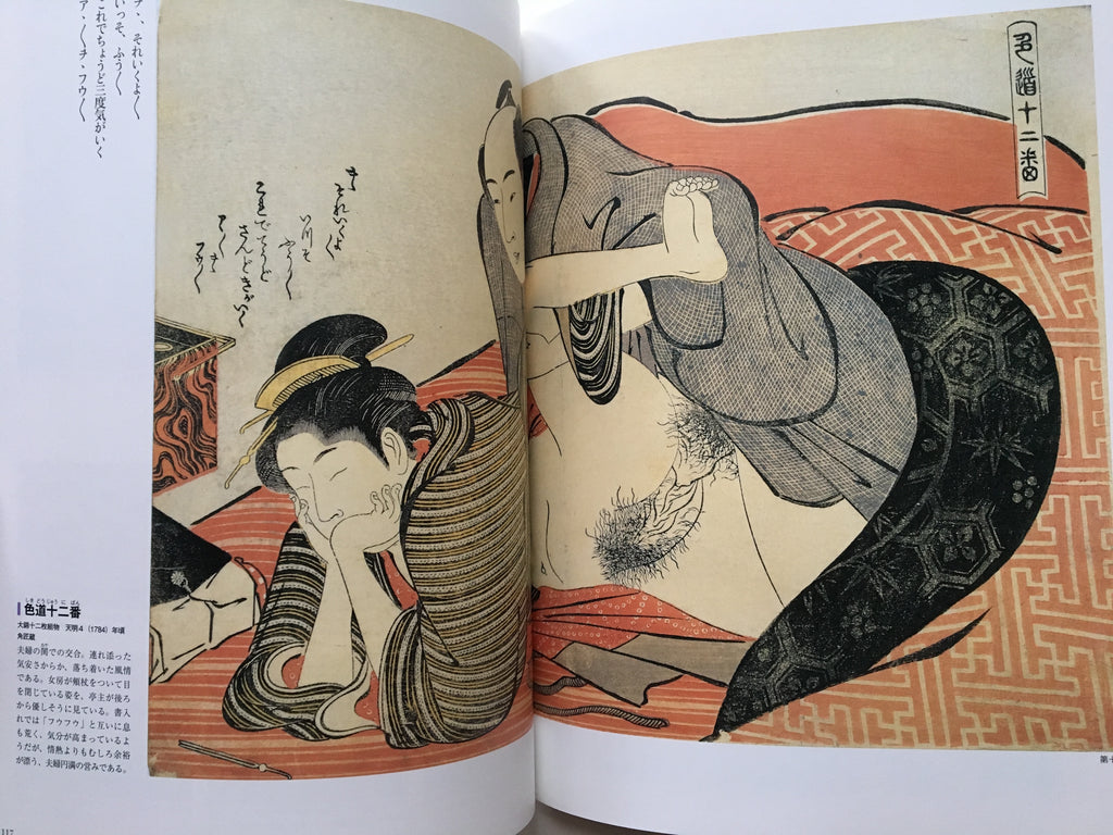 Shunga - 48 painters of Edo