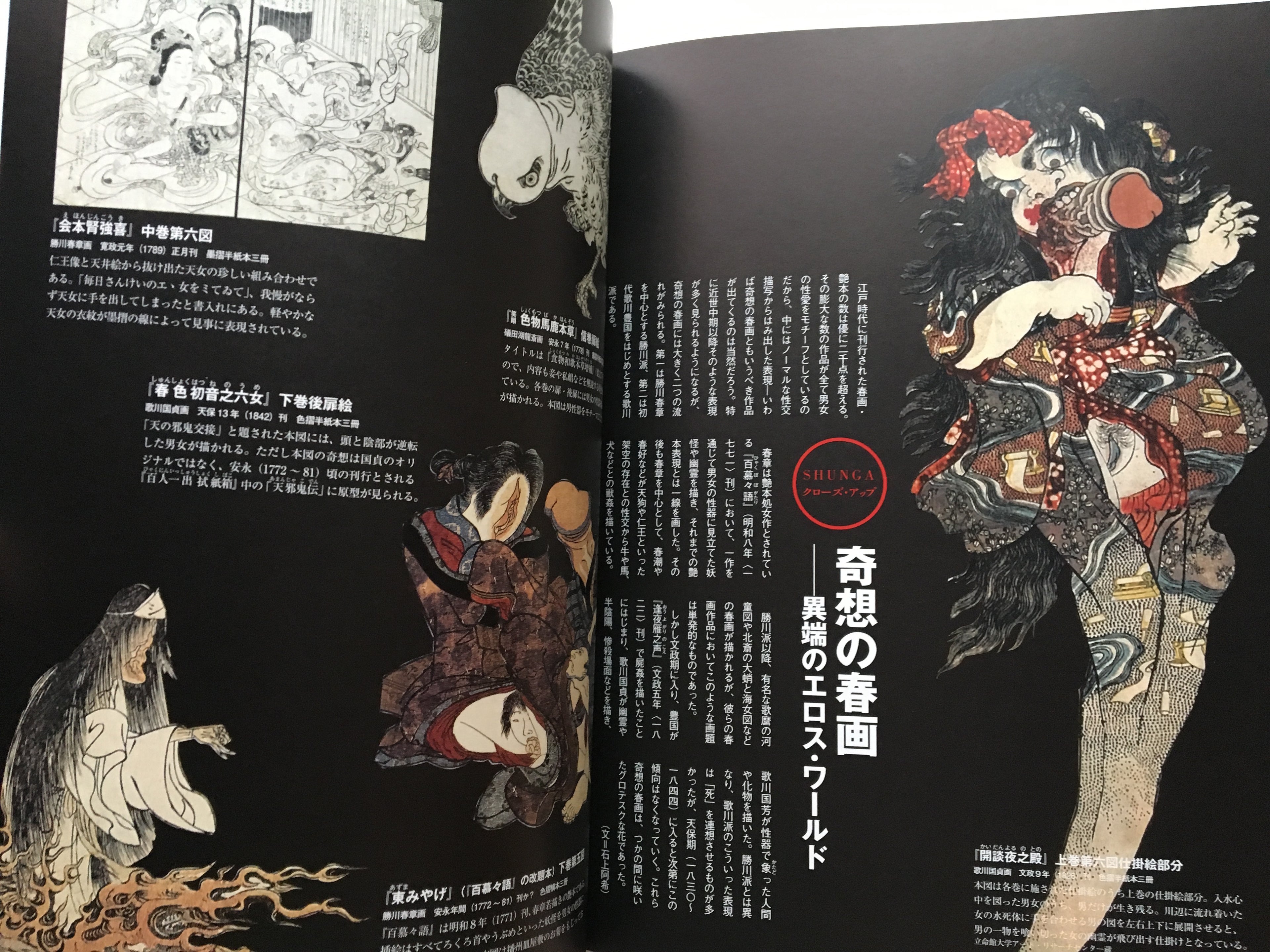 Shunga - 48 painters of Edo
