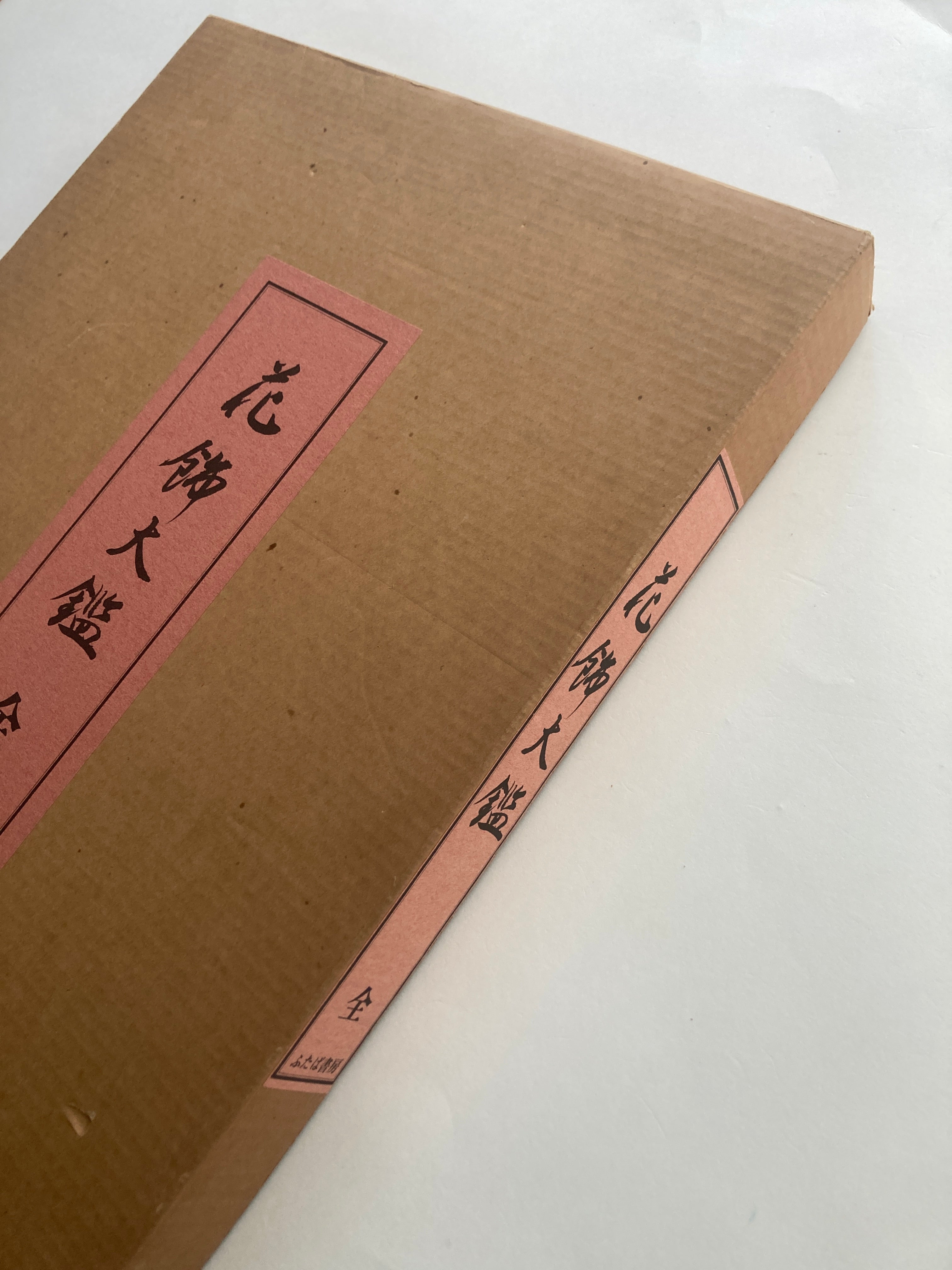 Flower Decoration Design Book (set/ 2 volumes)