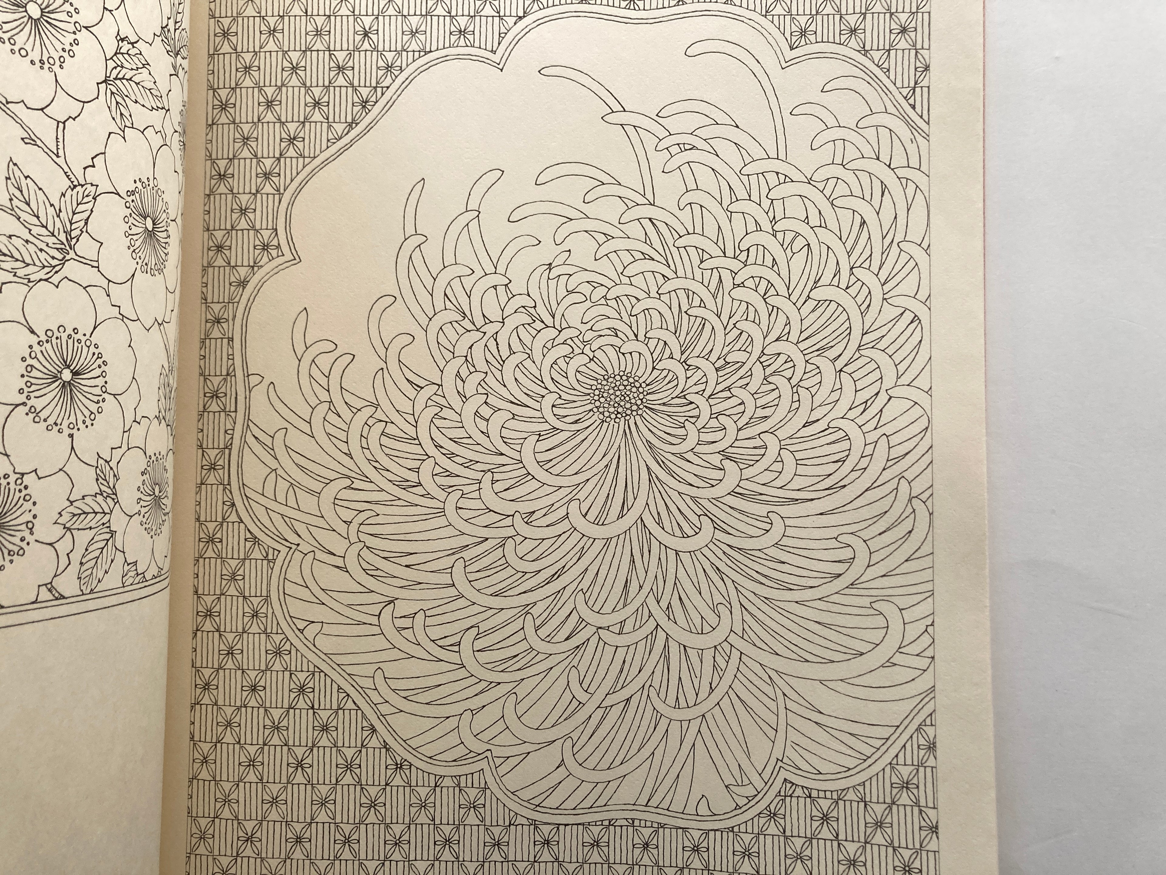 Flower Decoration Design Book (set/ 2 volumes)