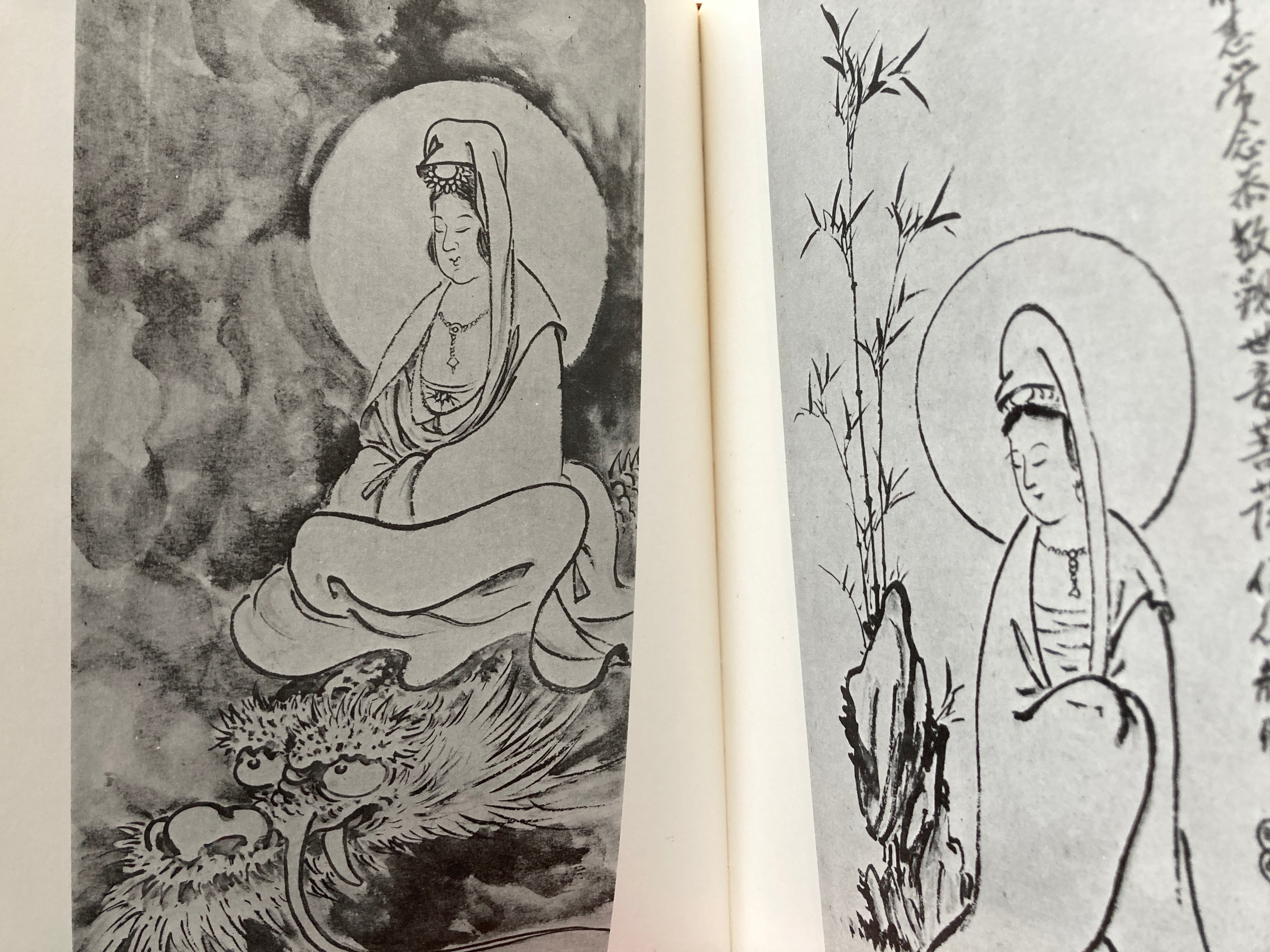 Kanzeon in 100 different situations