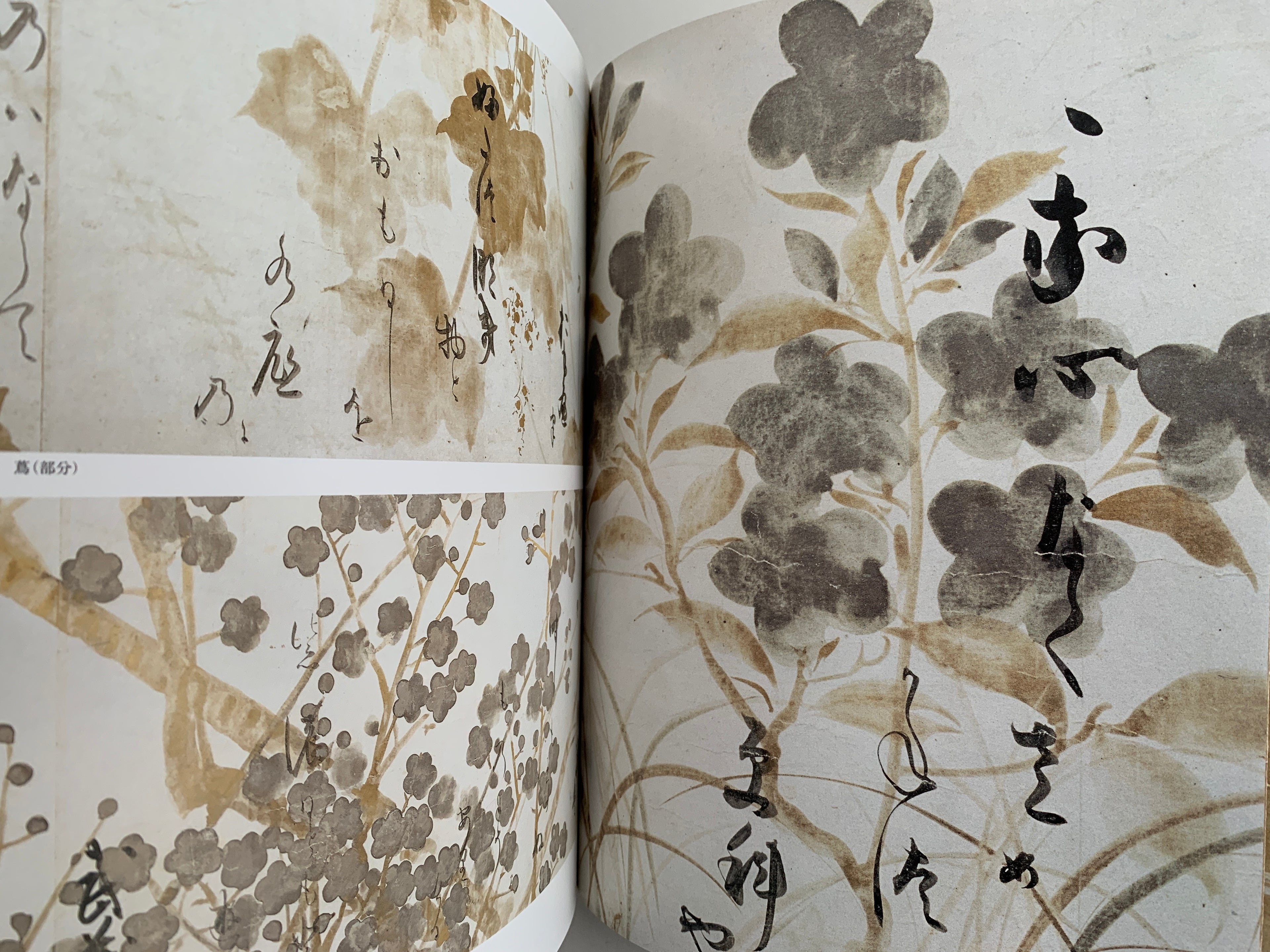 The Art of Rimpa, - Yoshū Aigan -