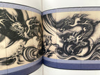 All About Dragon Painting / Seiryu Kitabatake