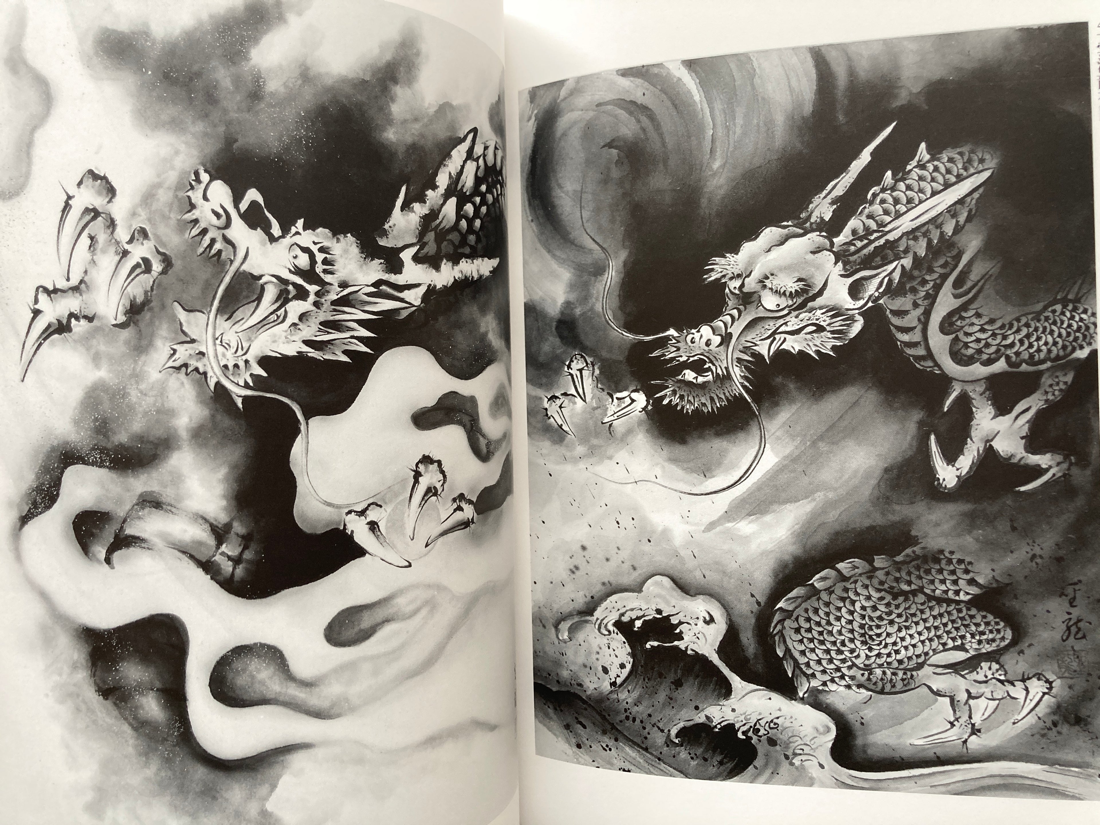 All About Dragon Painting / Seiryu Kitabatake