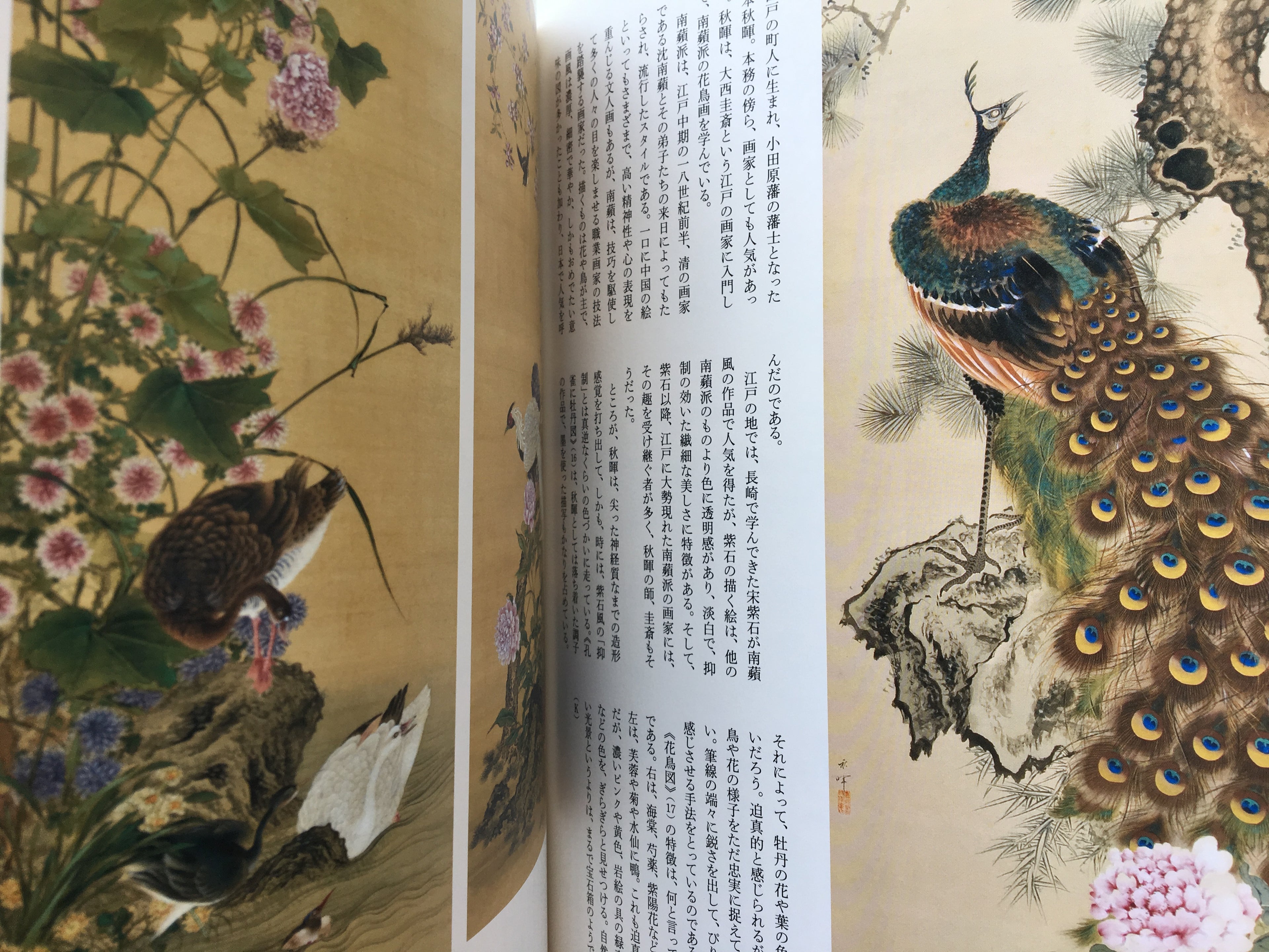 Nineteenth Century Edo Paintings