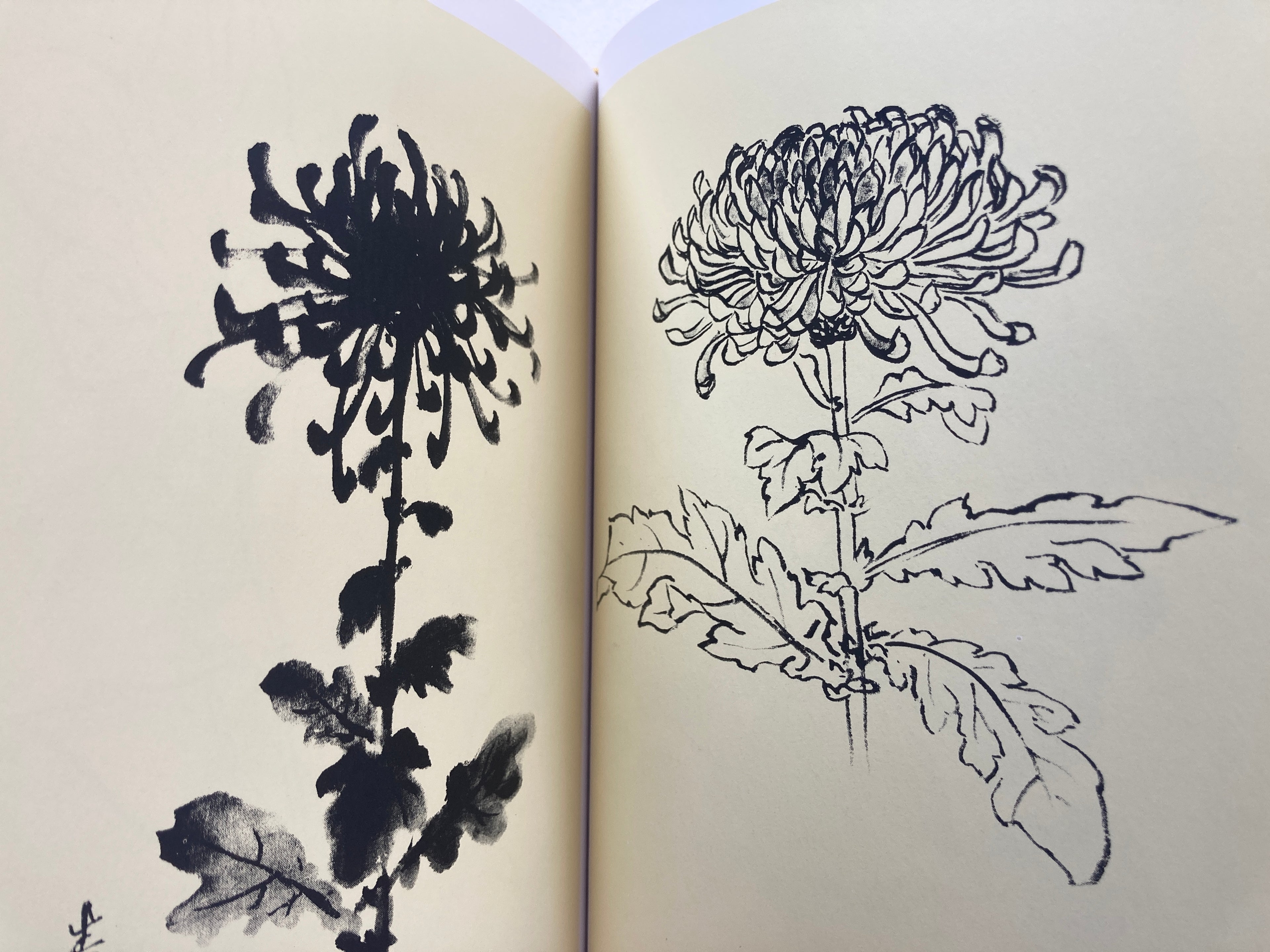 Flowers in 100 different situations