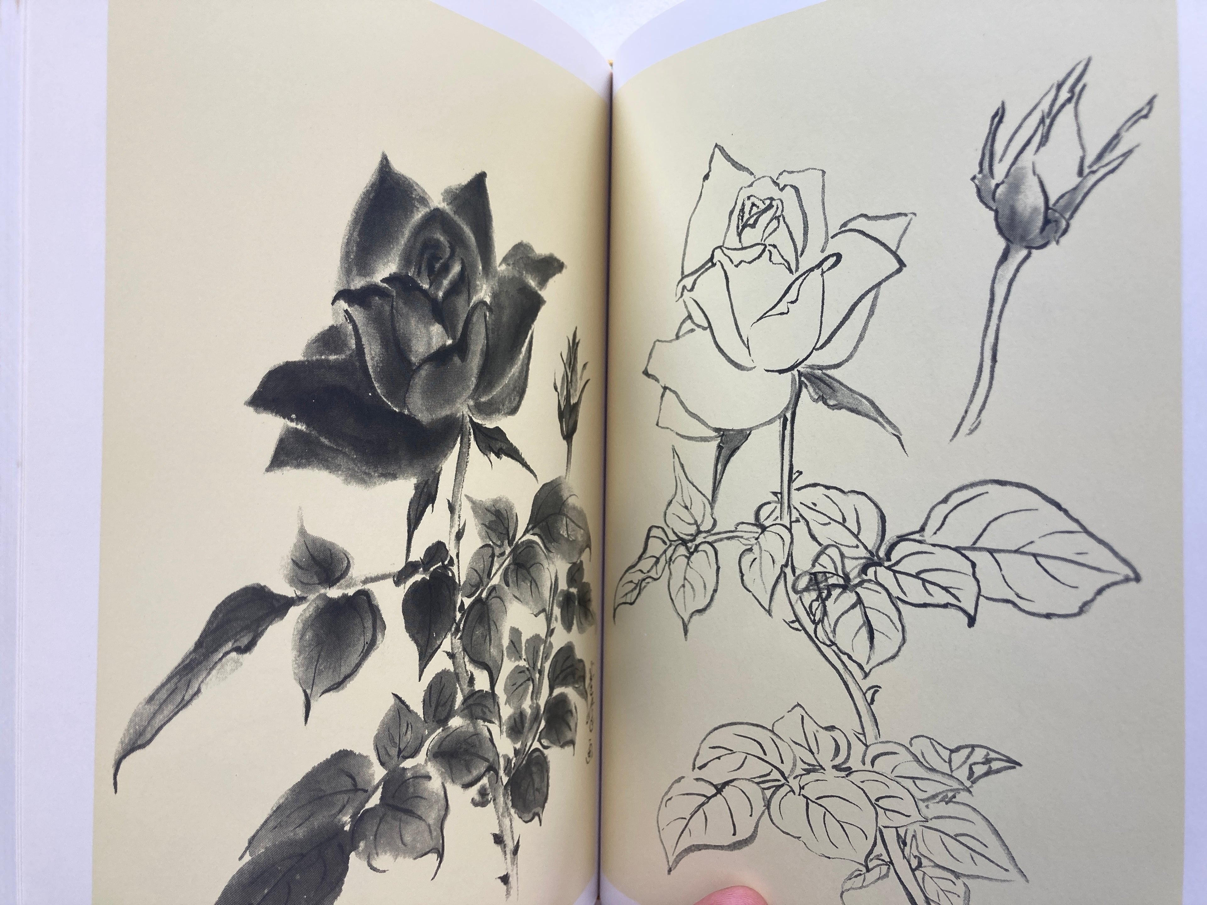 Flowers in 100 different situations