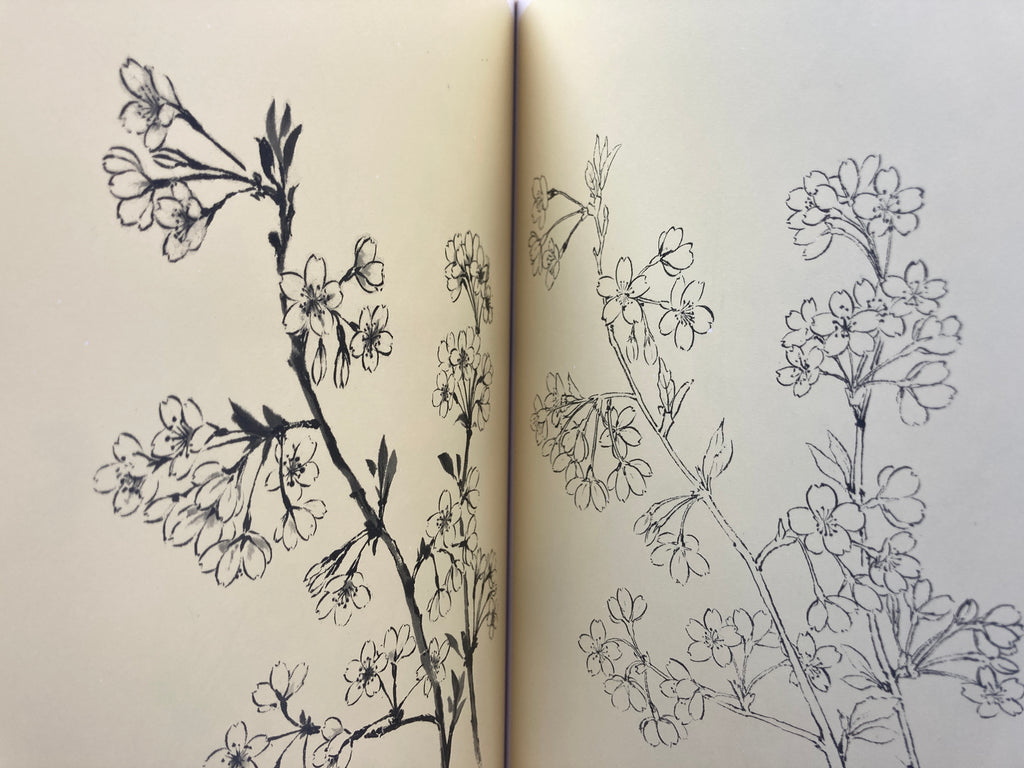 Flowers in 100 different situations