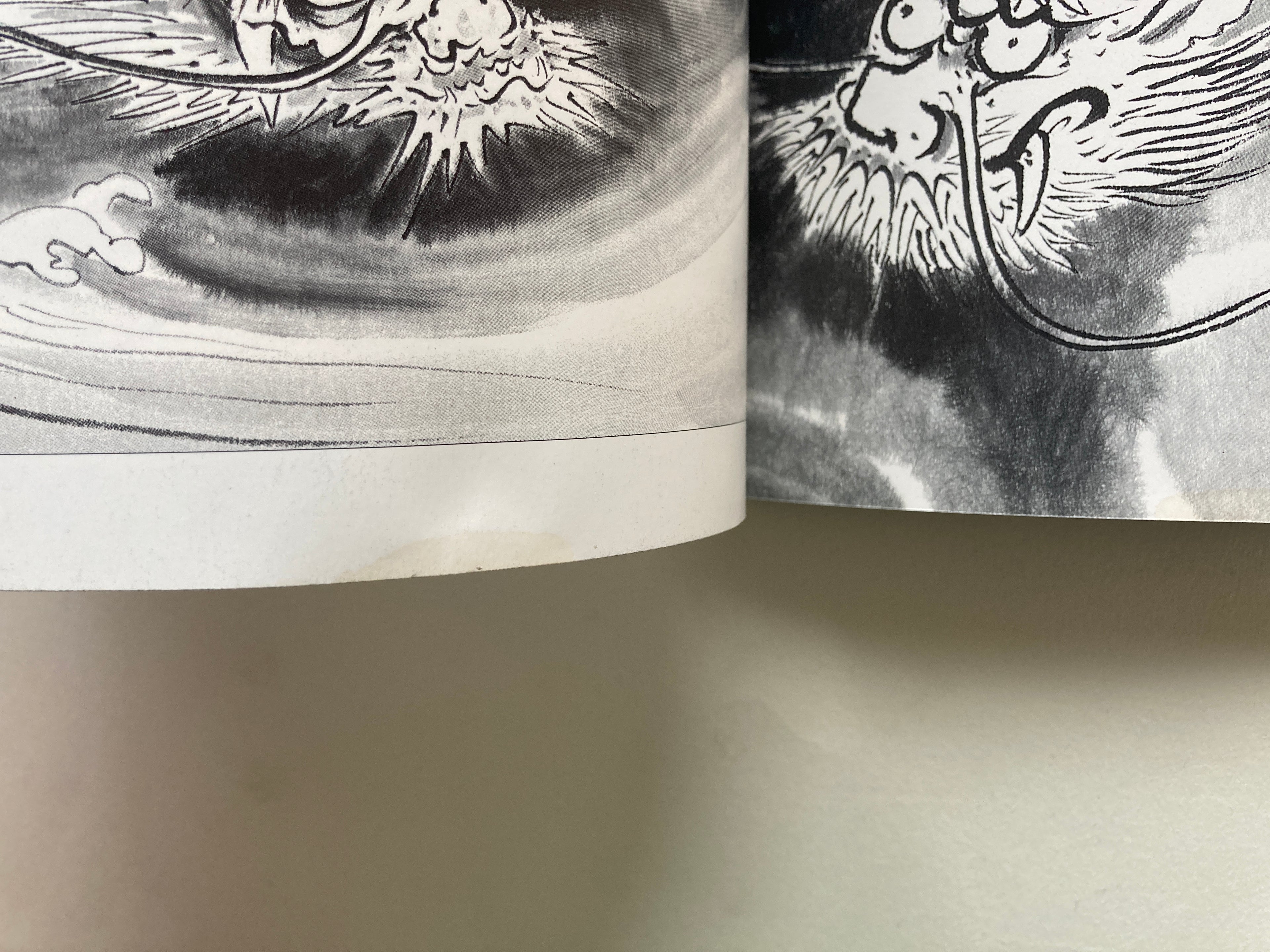 Gyokun Suibokuga / How to Draw a Dragon