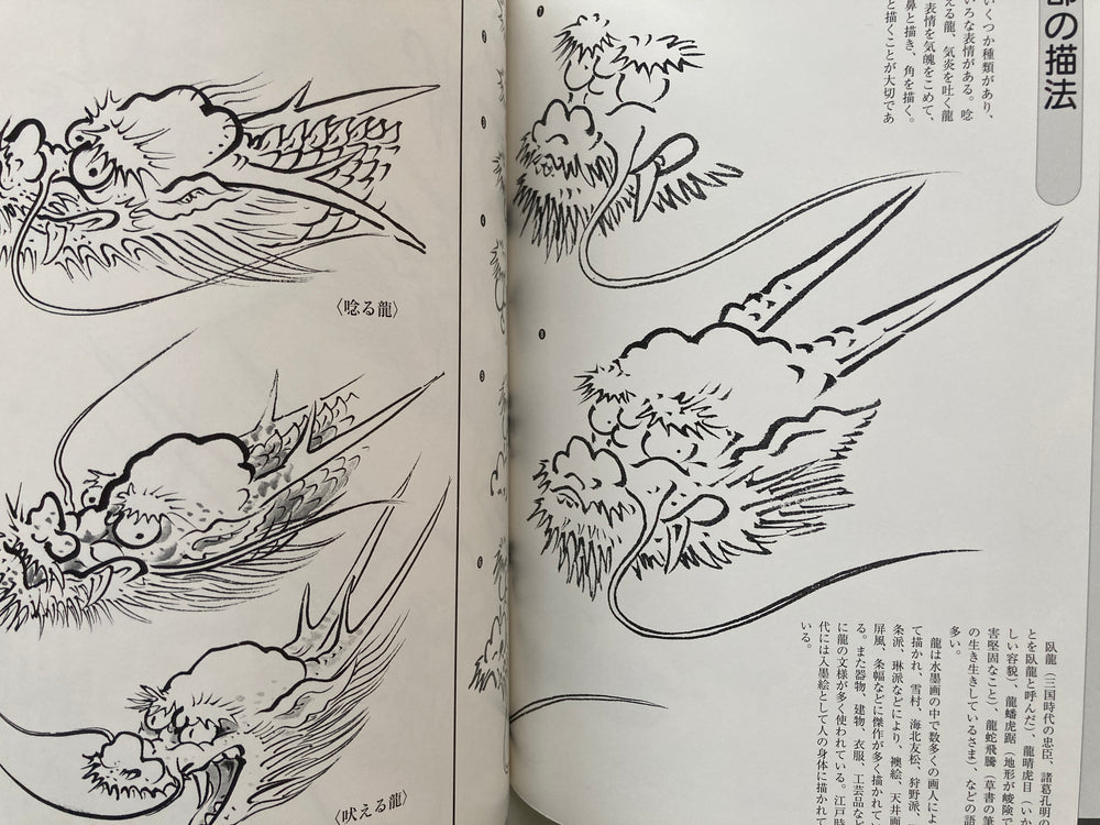 Gyokun Suibokuga / How to Draw a Dragon