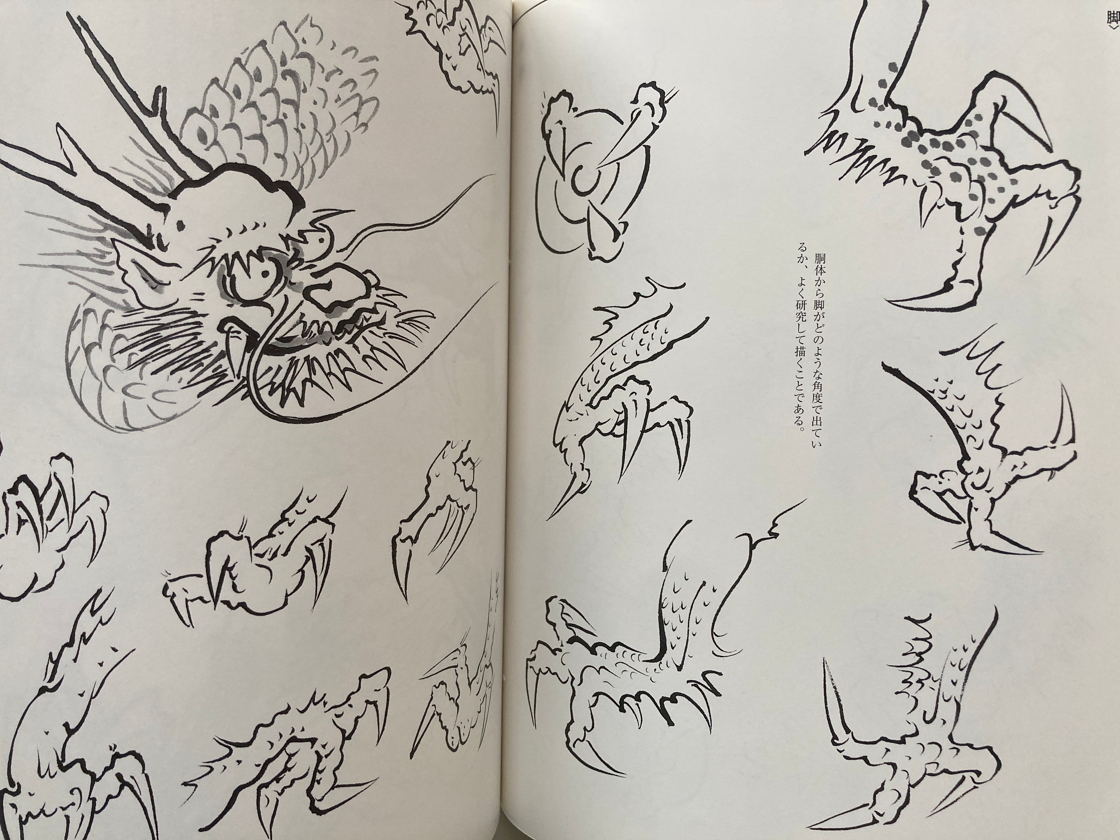 Gyokun Suibokuga / How to Draw a Dragon