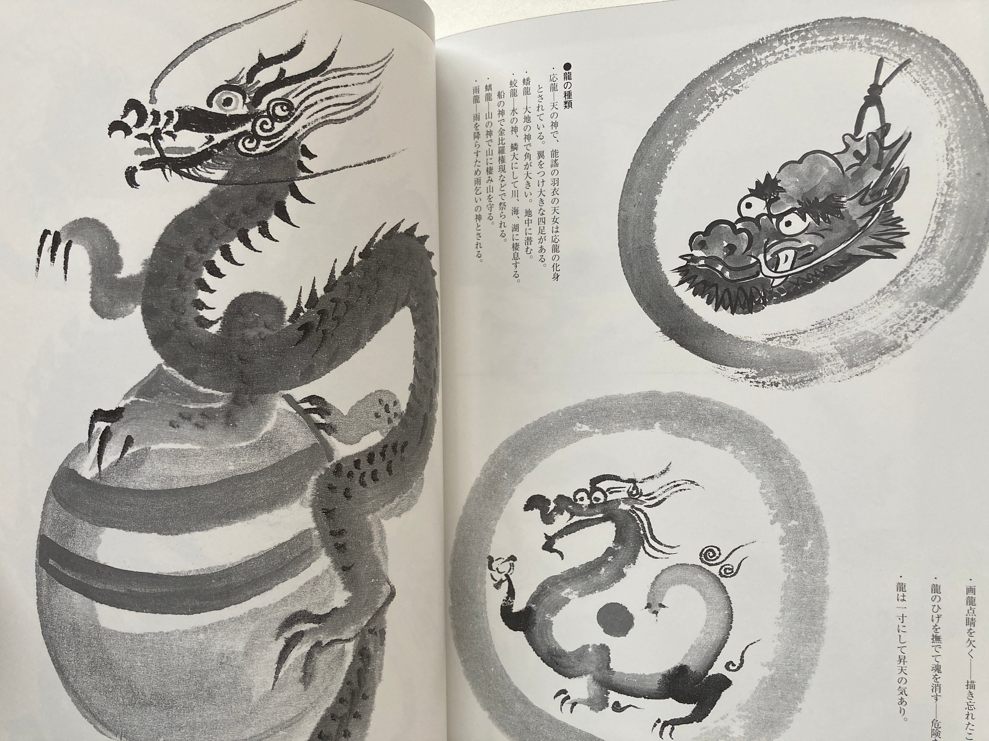 Gyokun Suibokuga / How to Draw a Dragon