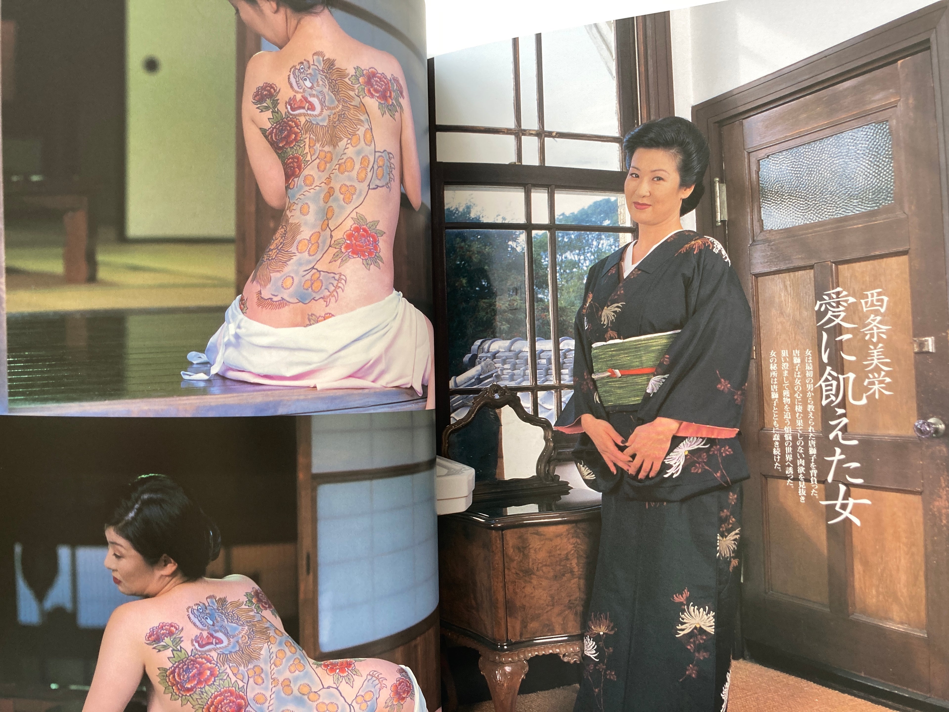 Glossy female picture book