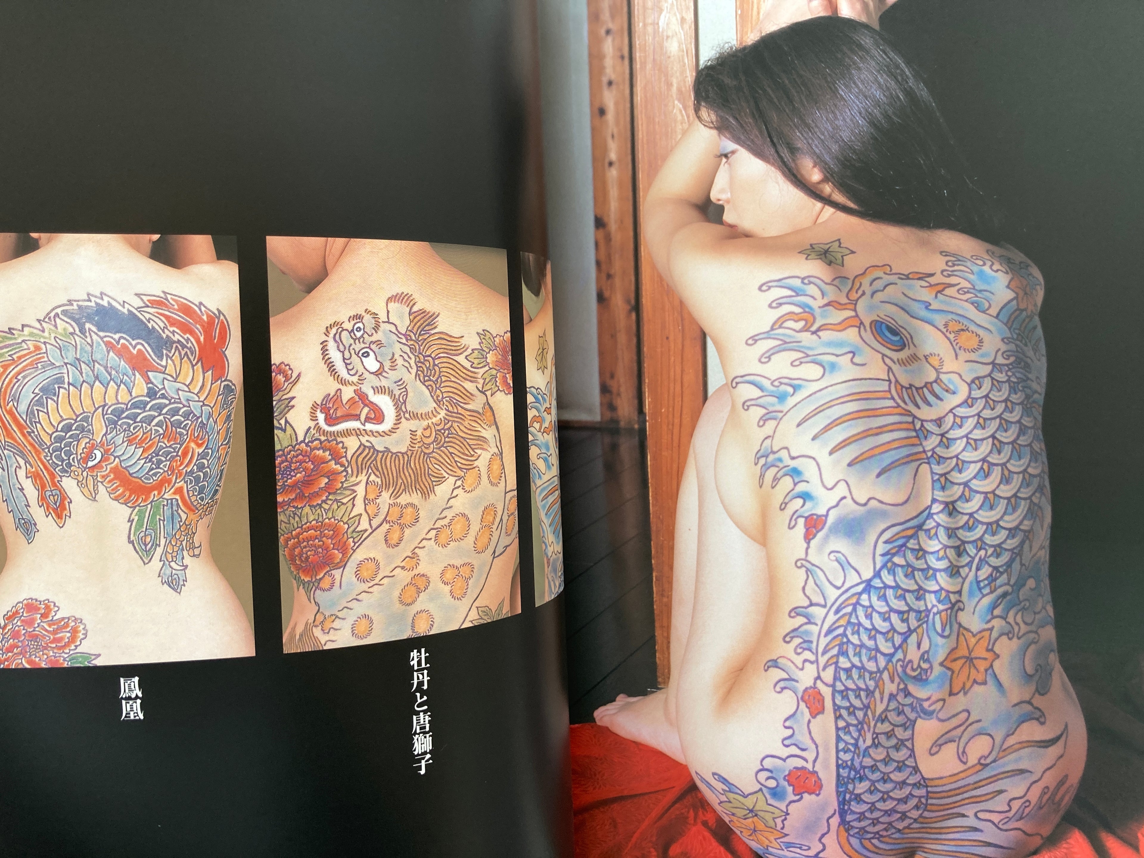 Glossy female picture book