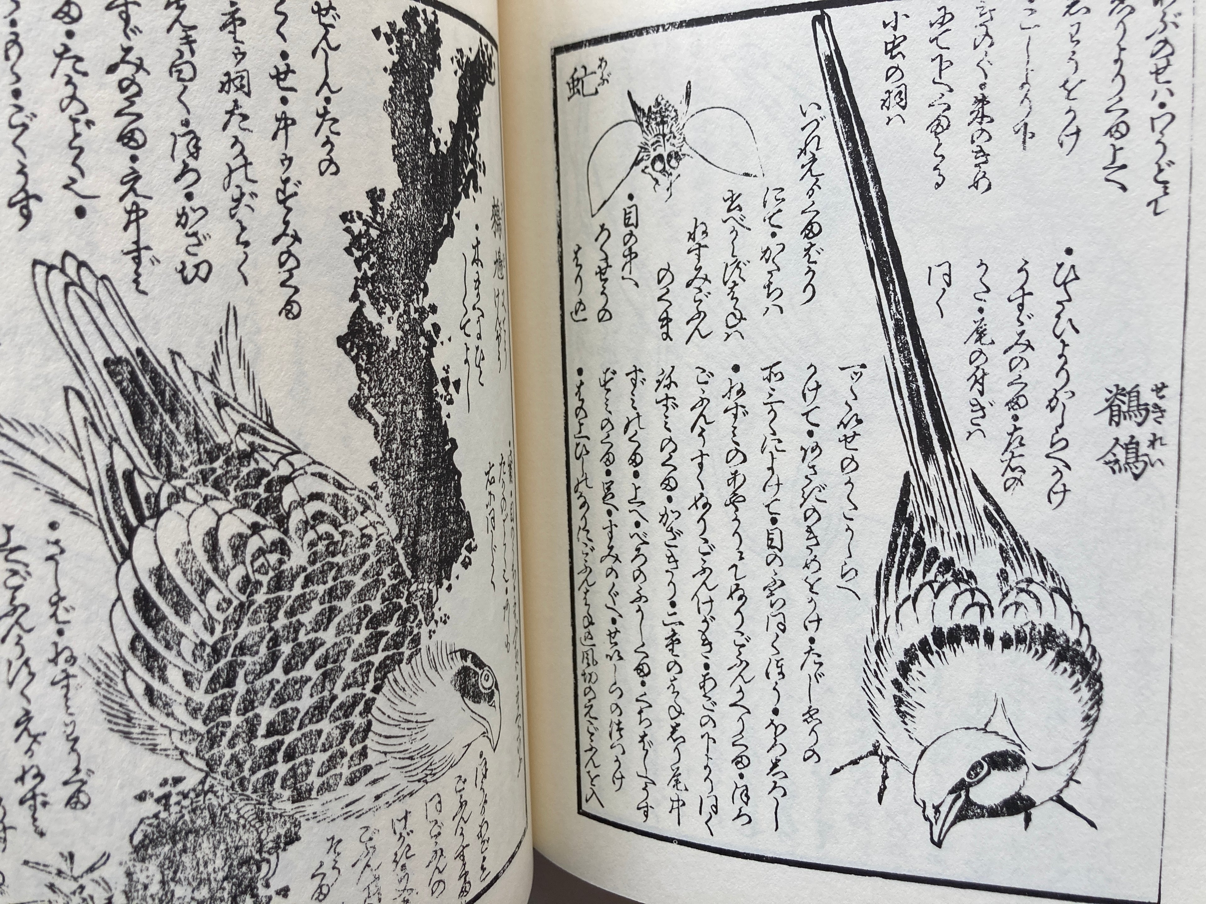 HOKUSAI PRINT BOOK - Full Set with BOX