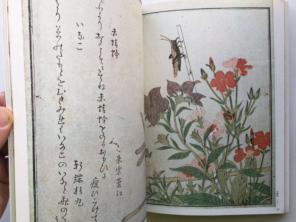 Utamaro- Ukiyo-e Series