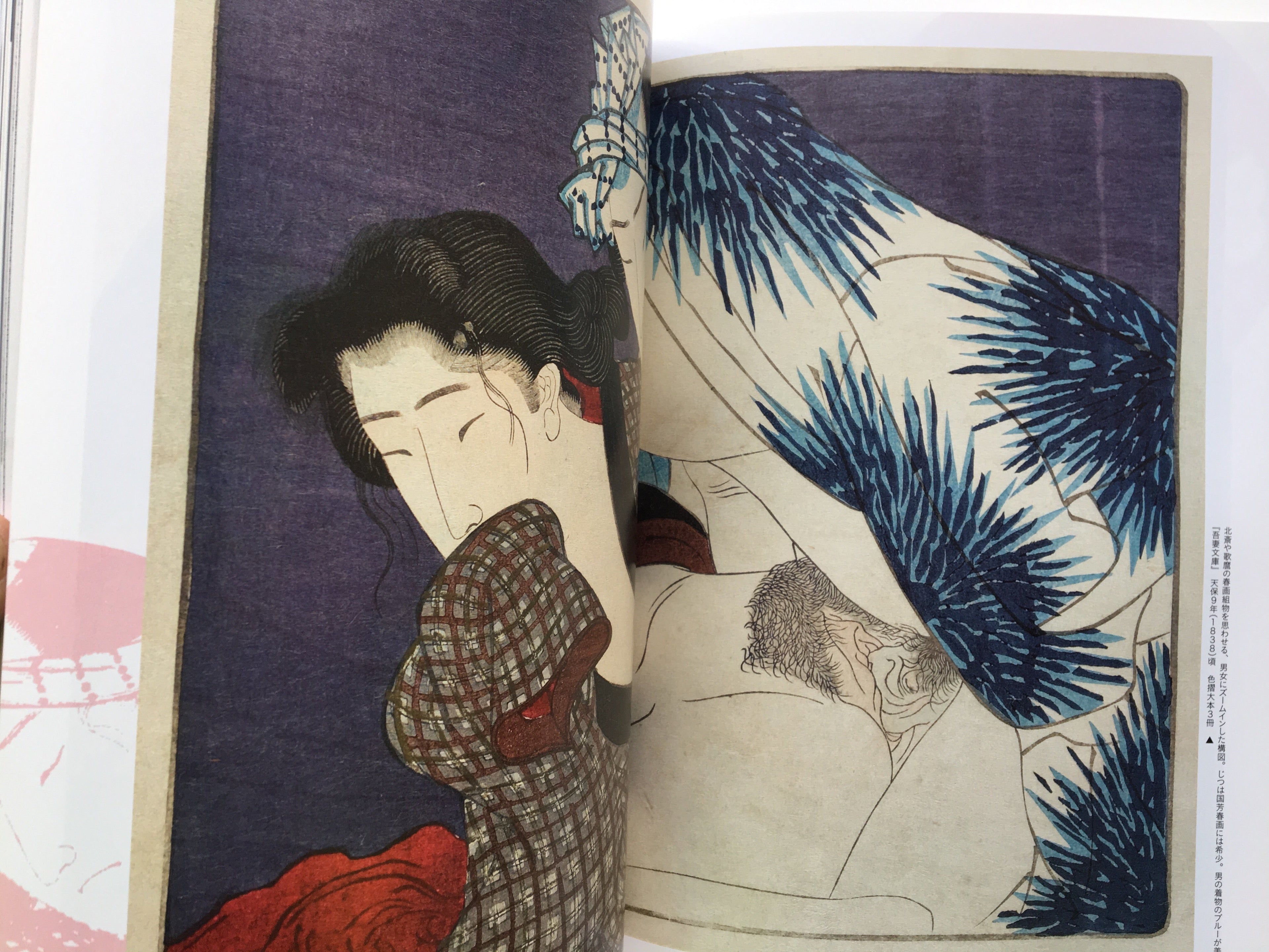Funny Moments Of Shunga. Japanese Book: New