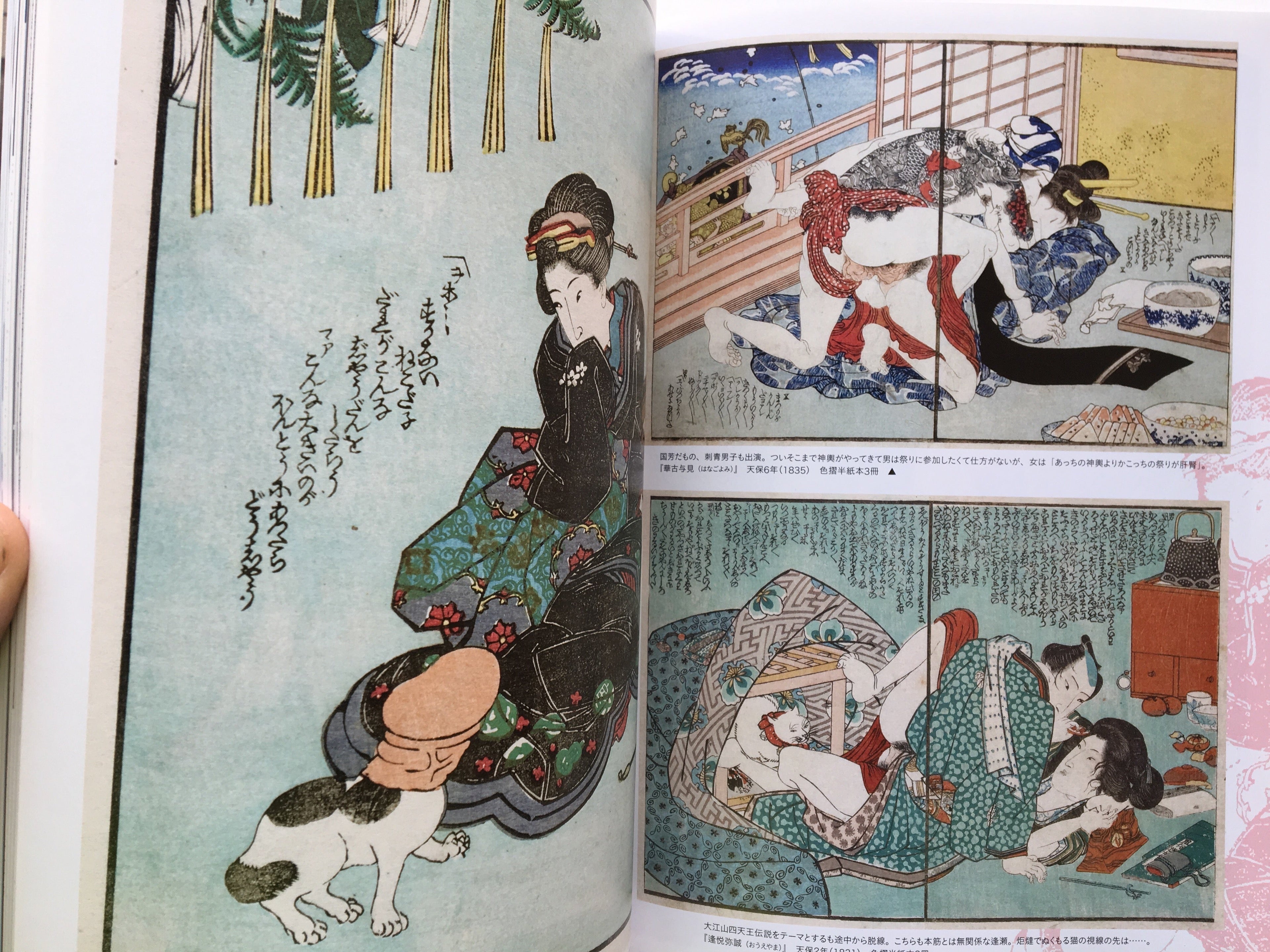 Funny Moments Of Shunga. Japanese Book: New