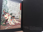 Blood Supper : Art of Yoshitoshi / Full-scale version (1: 1) FREE SHIPPING 9KG