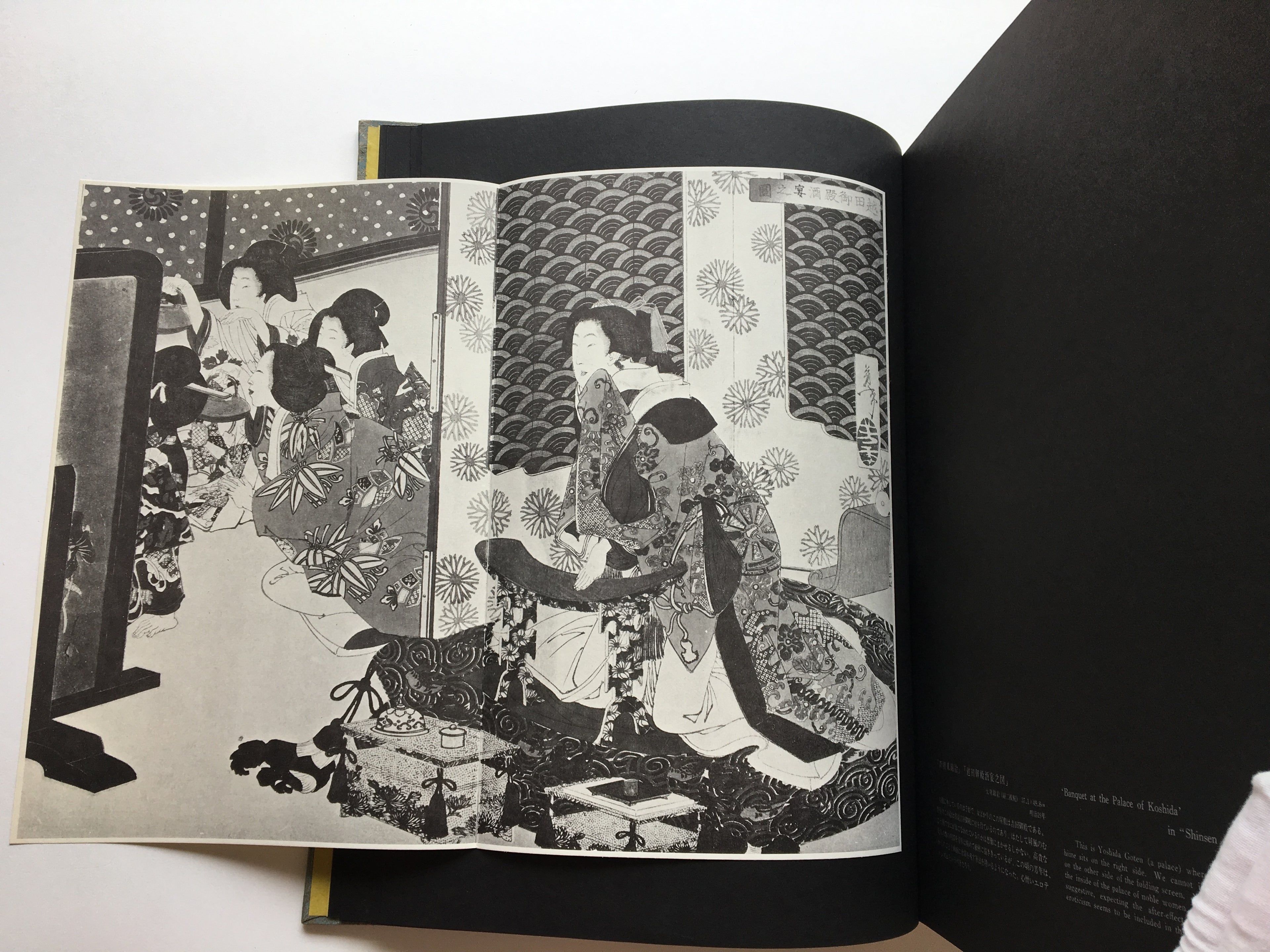 Blood Supper : Art of Yoshitoshi / Full-scale version (1: 1) FREE SHIPPING 9KG