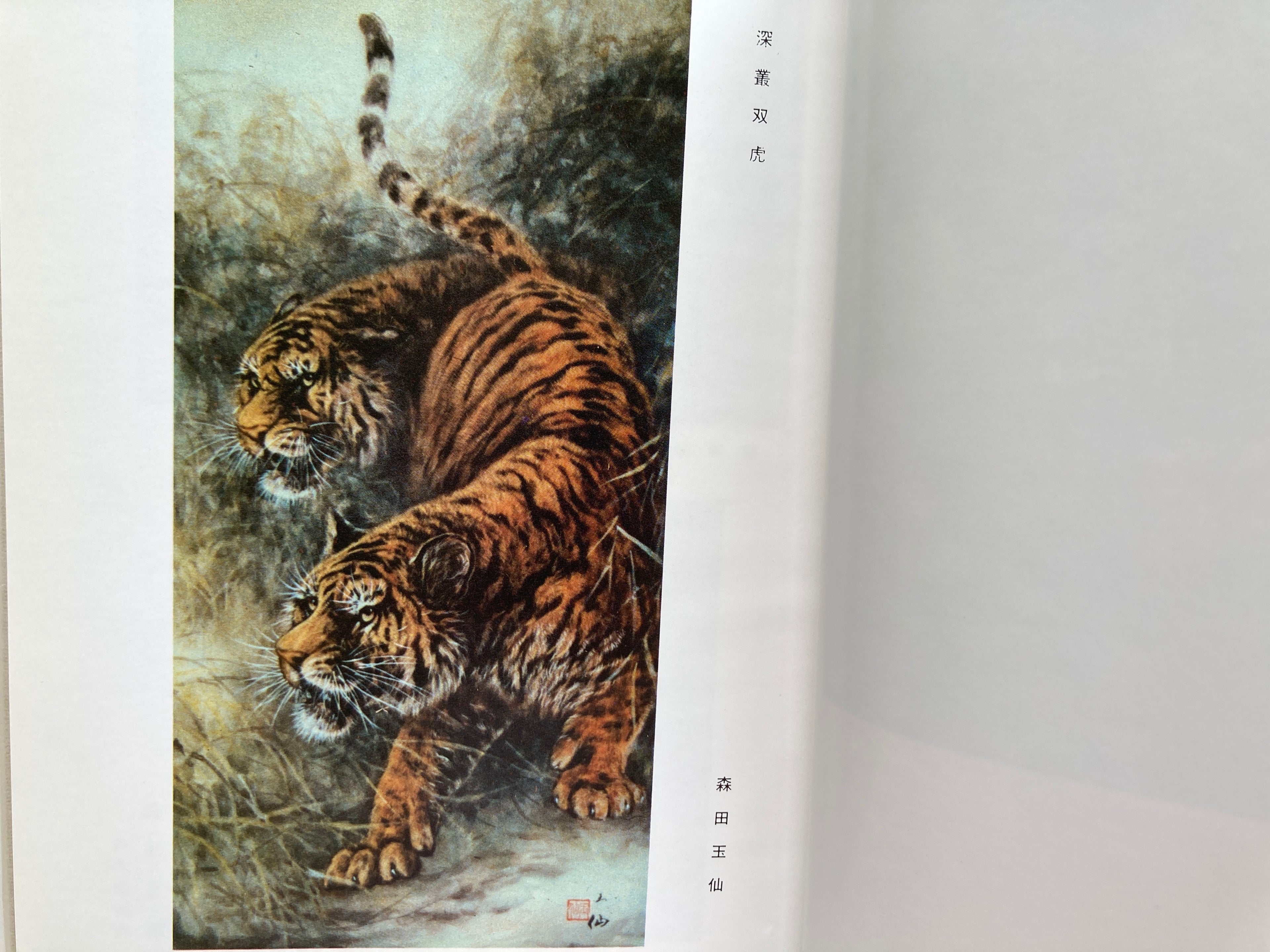 100 Phases of Furious Tiger