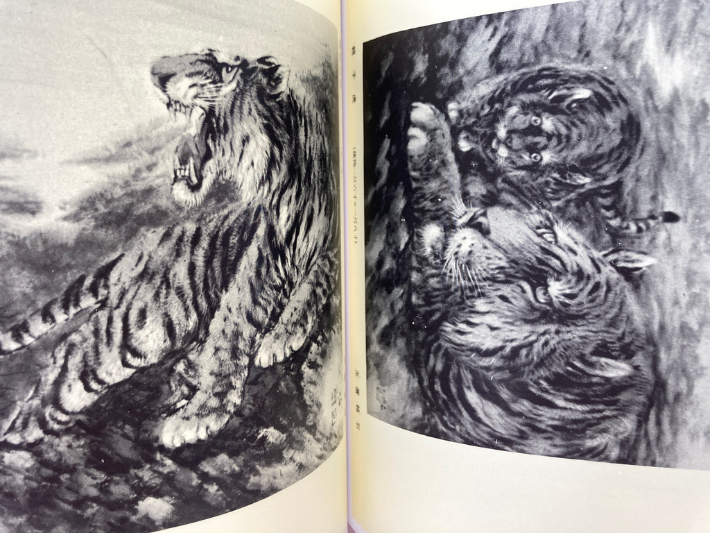 100 Phases of Furious Tiger