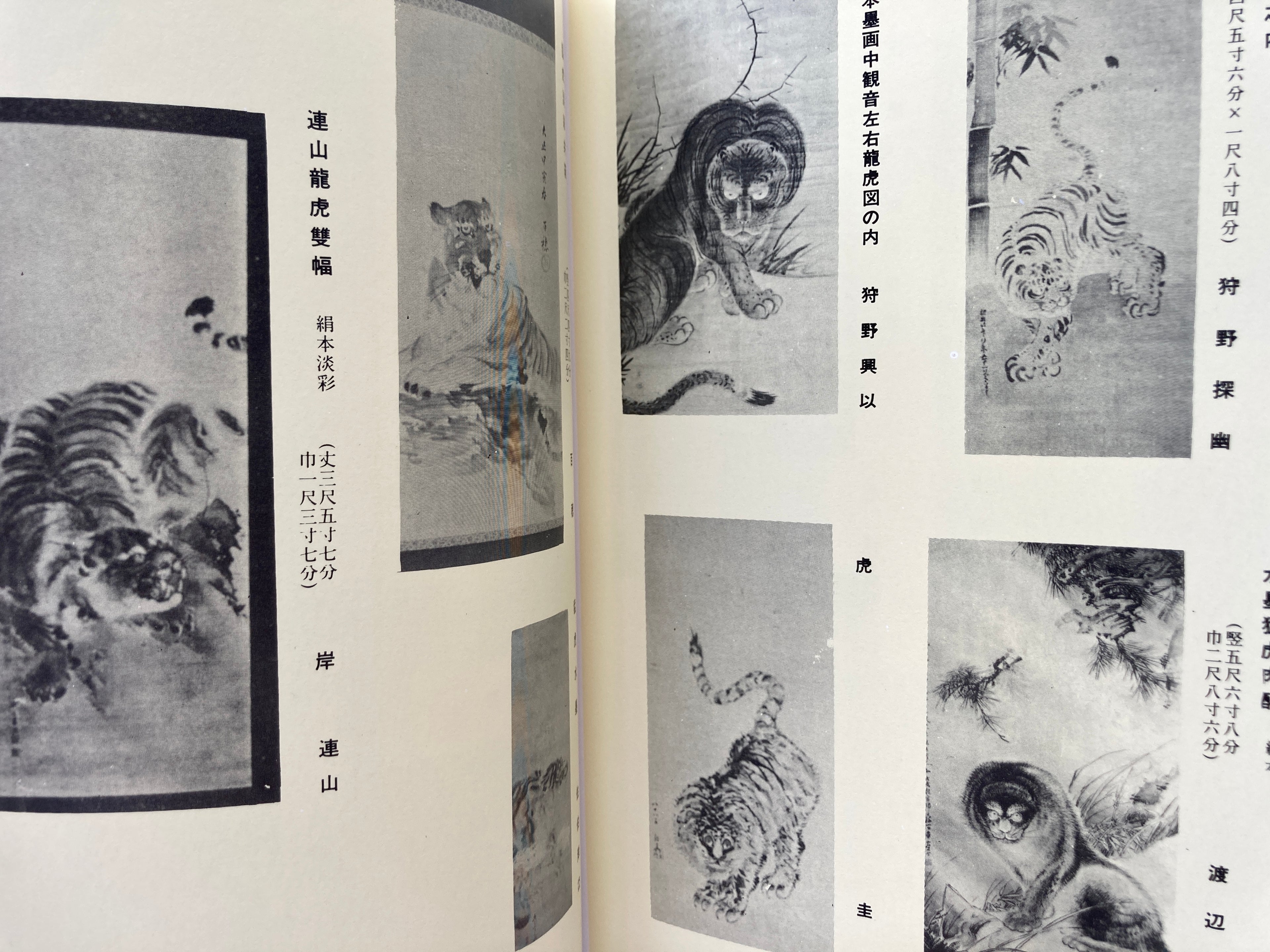 100 Phases of Furious Tiger