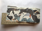 HIKAN UKIYO-E ONISHIKI / UKIYO-E SHUNGA