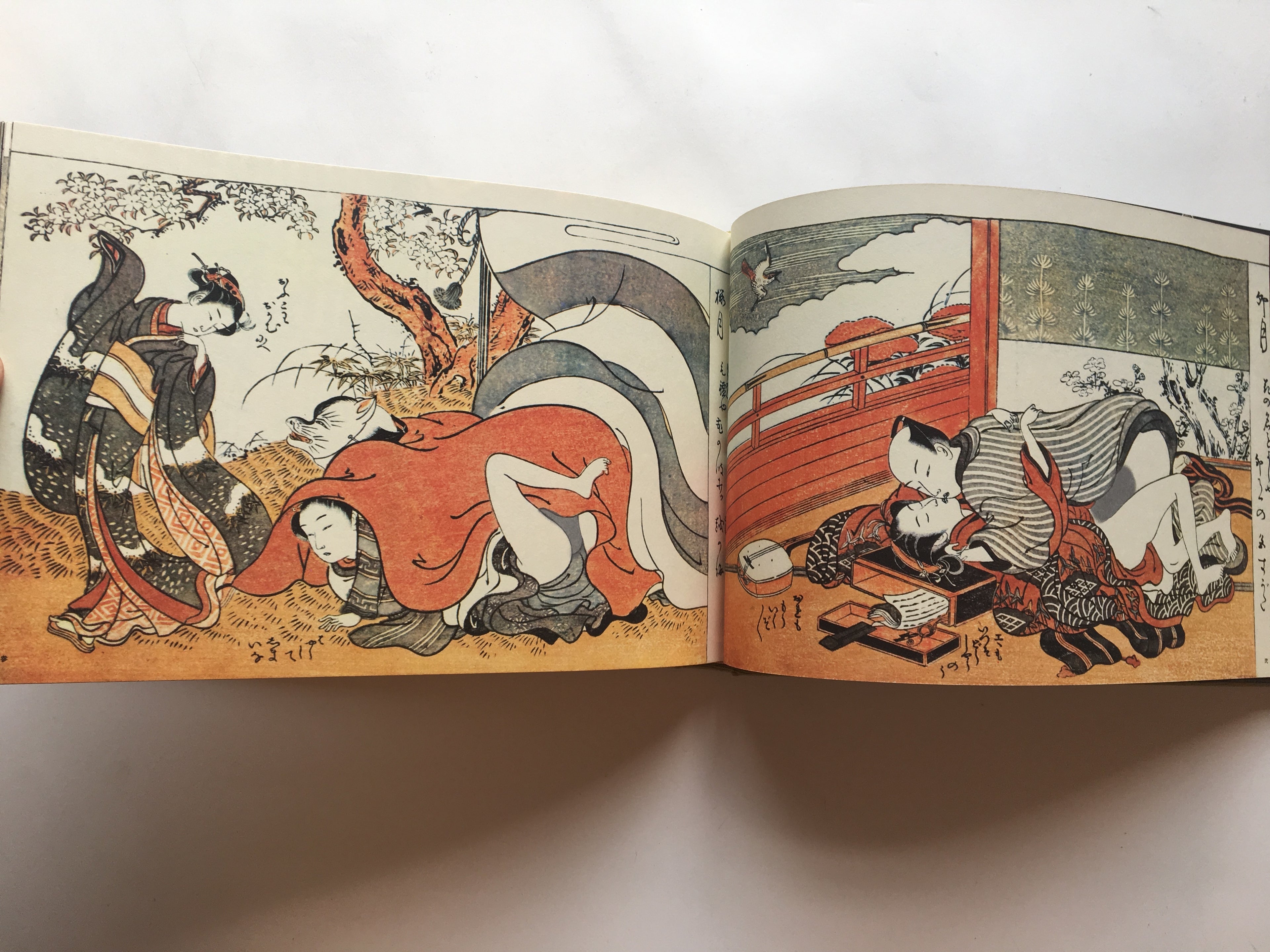 HIKAN UKIYO-E ONISHIKI / UKIYO-E SHUNGA