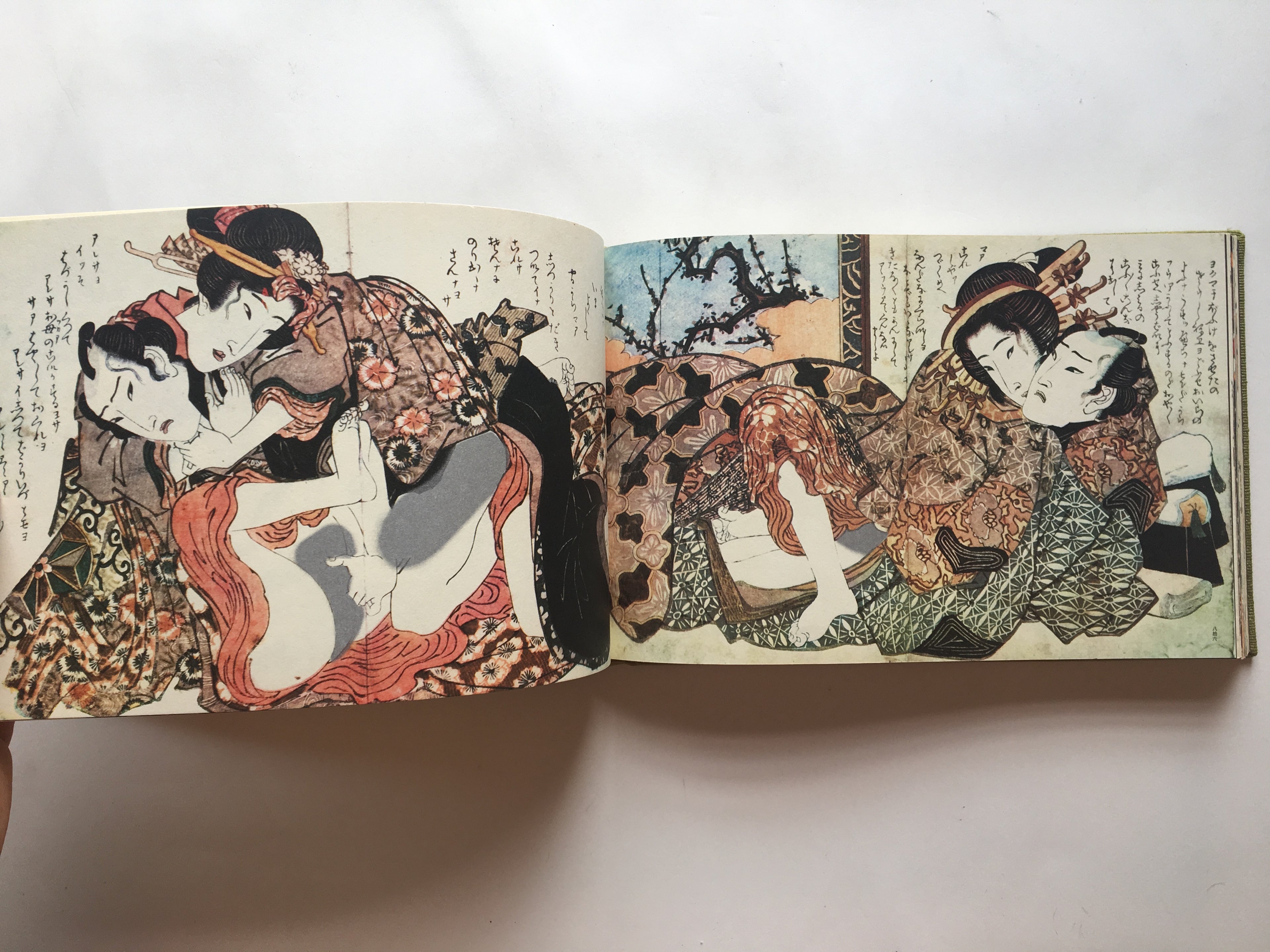HIKAN UKIYO-E ONISHIKI / UKIYO-E SHUNGA