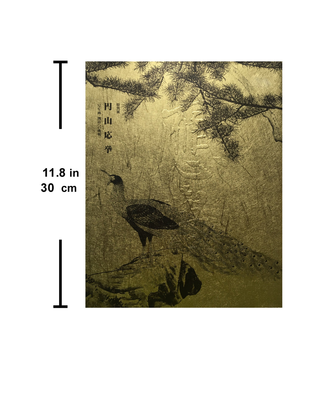 Catalogue from SPECIAL EXHIBITION: MARUYAMA OKYO: SHASEIGA - CHALLENGING A NEW FRONTIER.