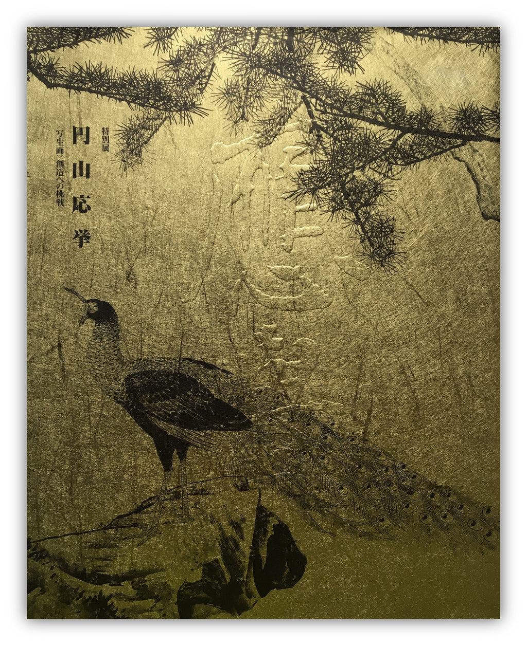 Catalogue from SPECIAL EXHIBITION: MARUYAMA OKYO: SHASEIGA - CHALLENGING A NEW FRONTIER.