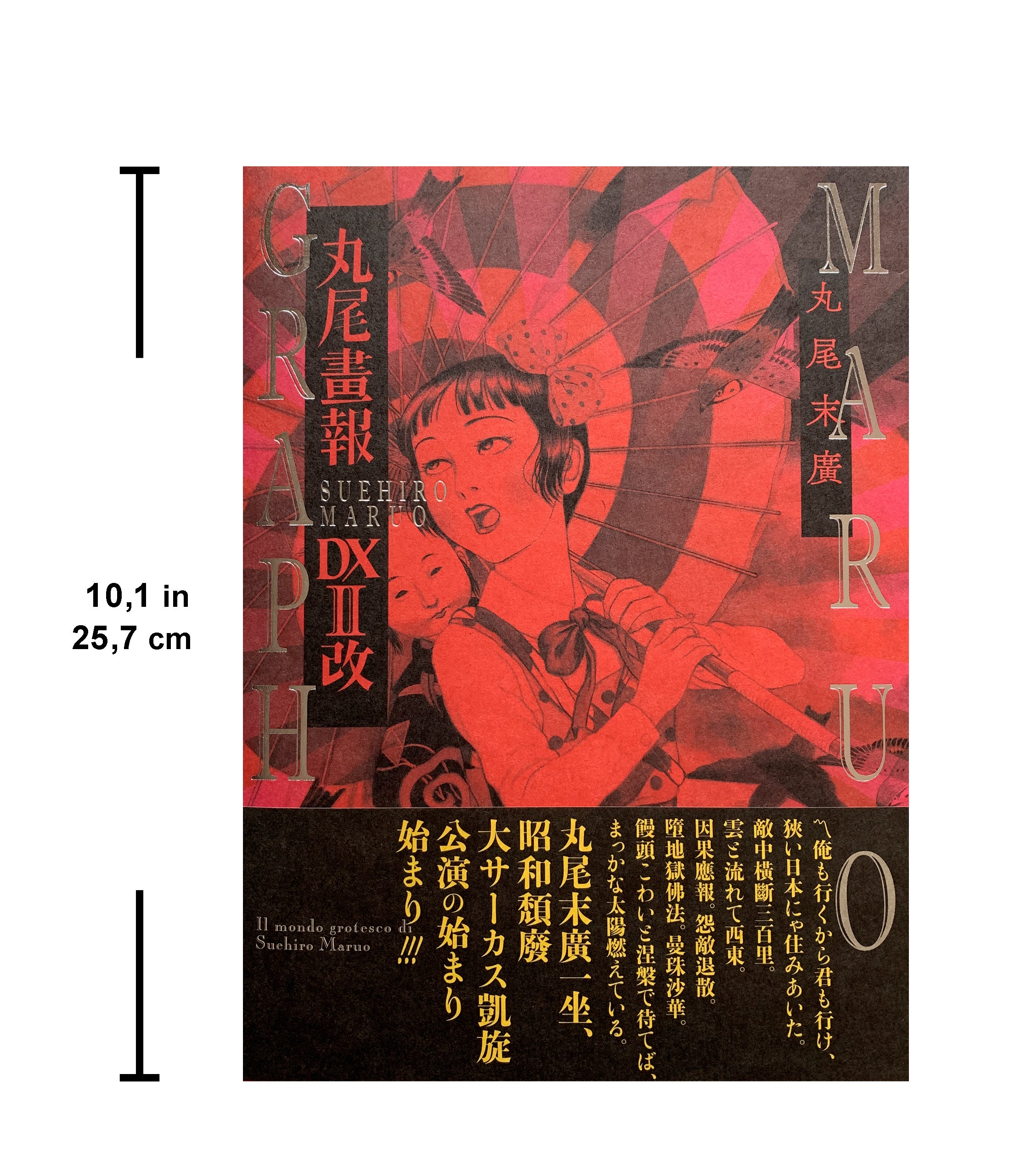 MARUO GRAPH DX II Revision